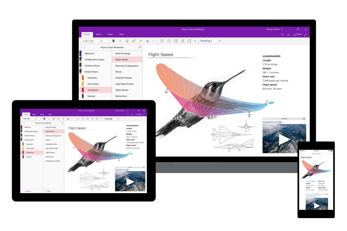 CTO Technology Webinar - Microsoft OneNote